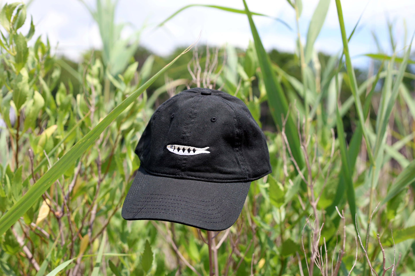 Sardine Embroidered Hat - Black