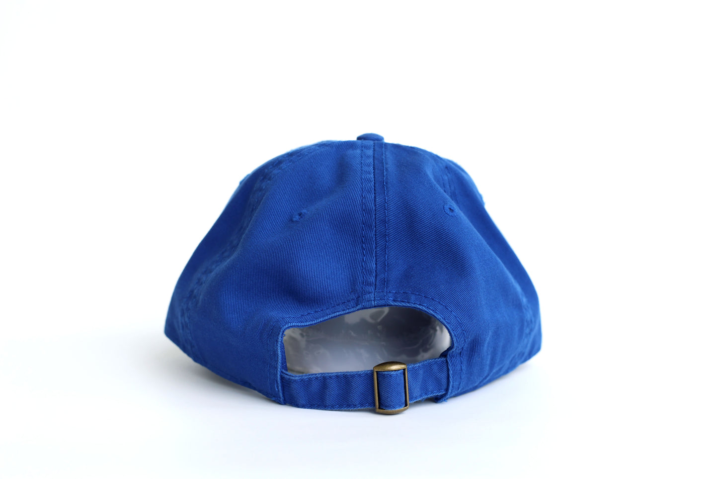 Sardine Embroidered Hat - Blue