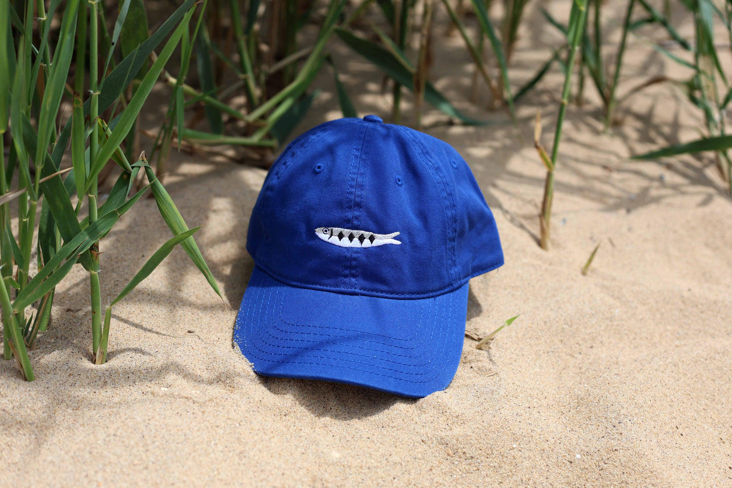 Sardine Embroidered Hat - Blue