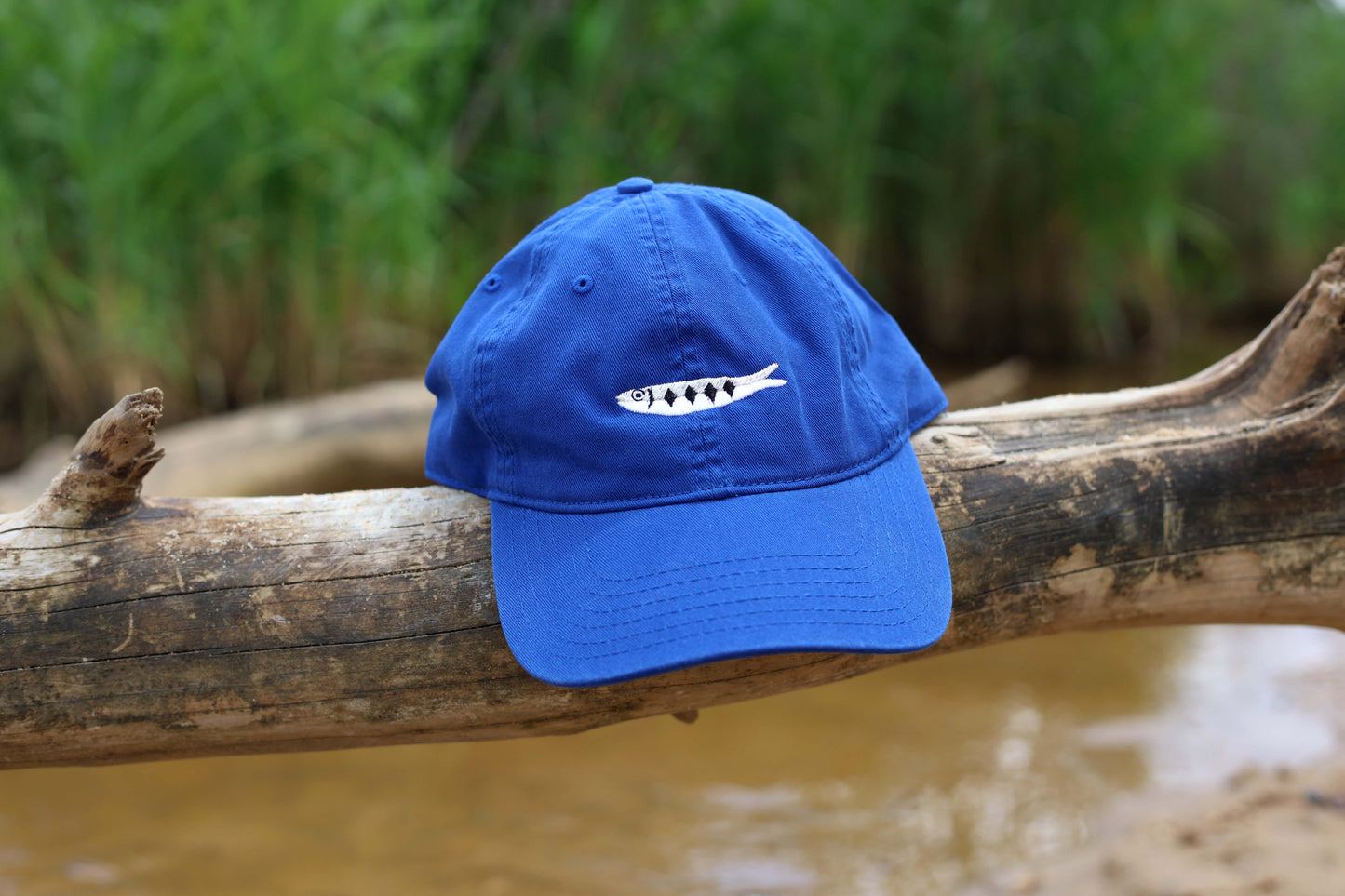 Sardine Embroidered Hat - Blue