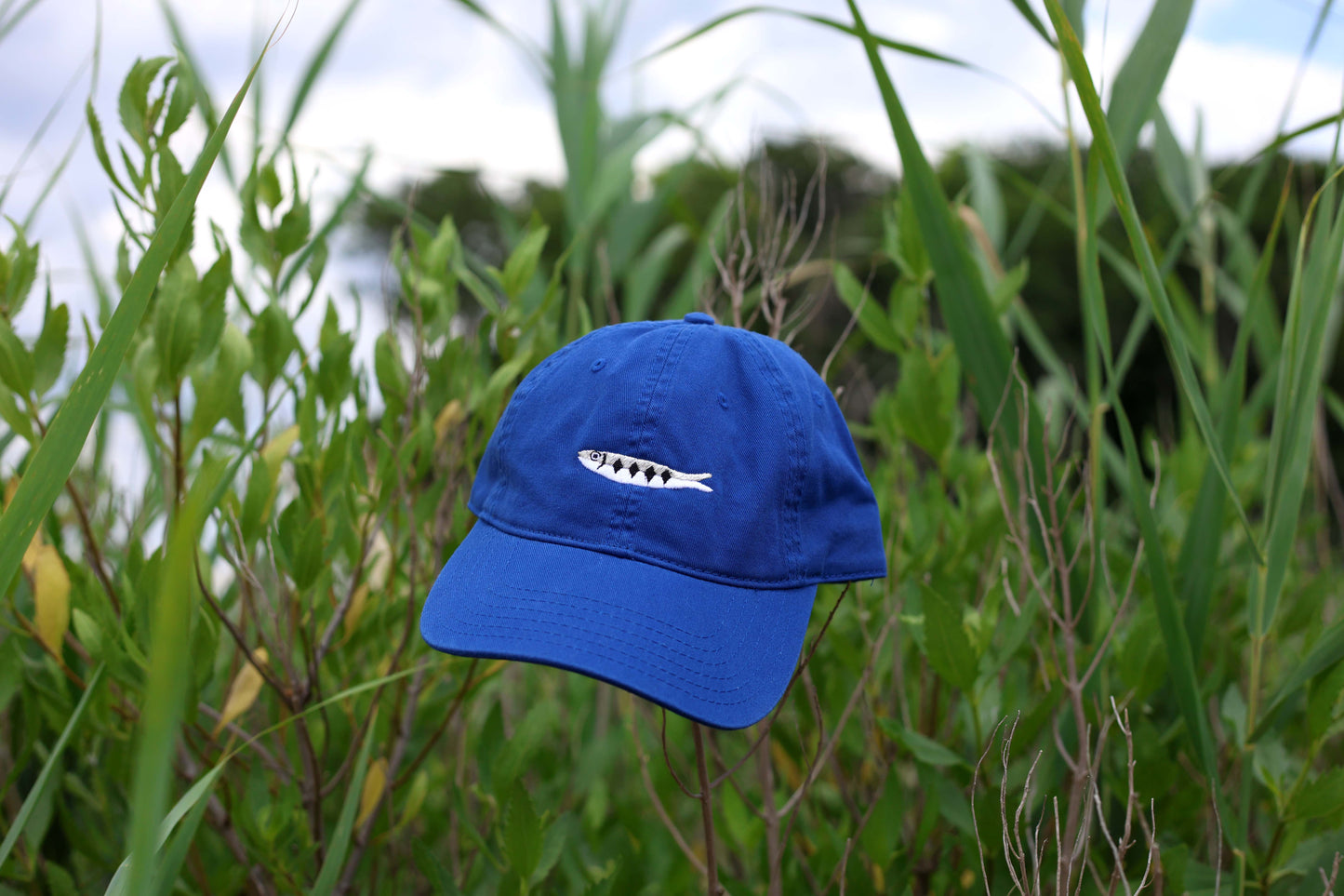 Sardine Embroidered Hat - Blue