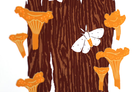 Chanterelle Harvest - Handmade Print