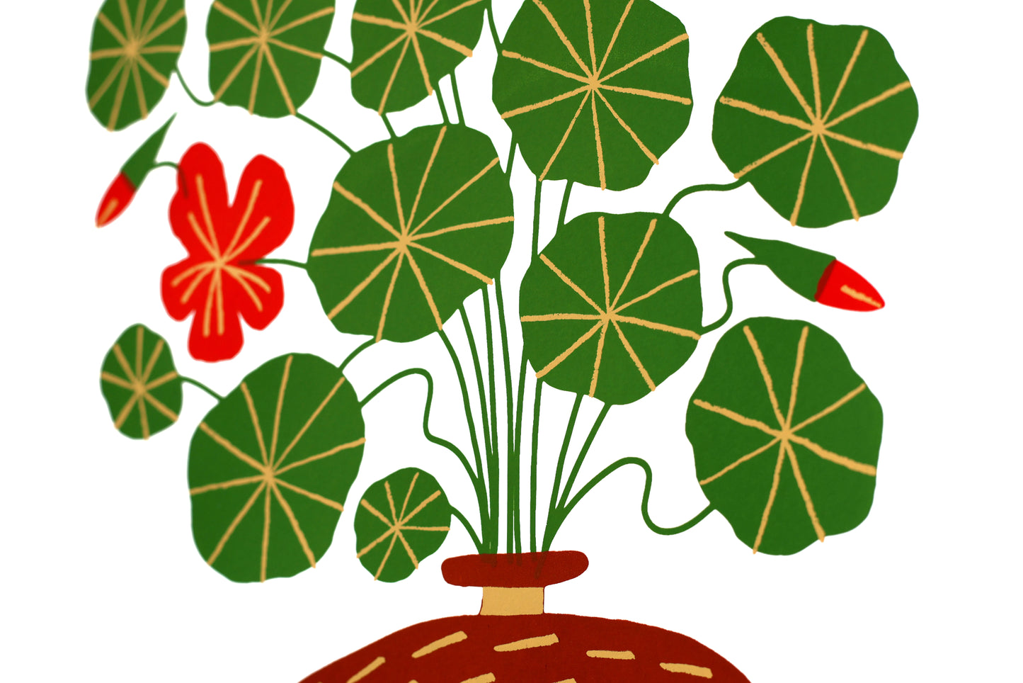 Nasturtium Hedgehog - Handmade Print