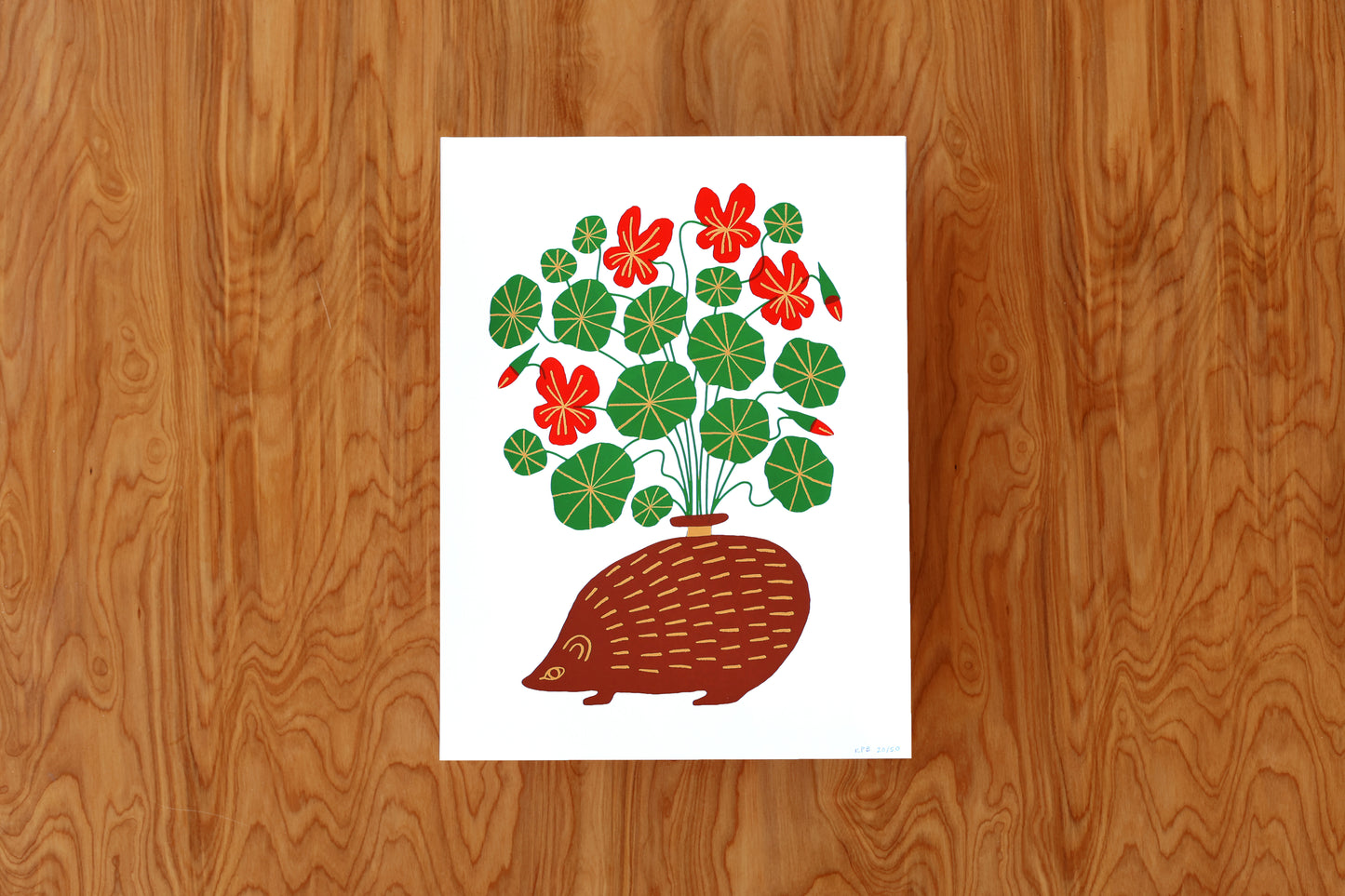 Nasturtium Hedgehog - Handmade Print