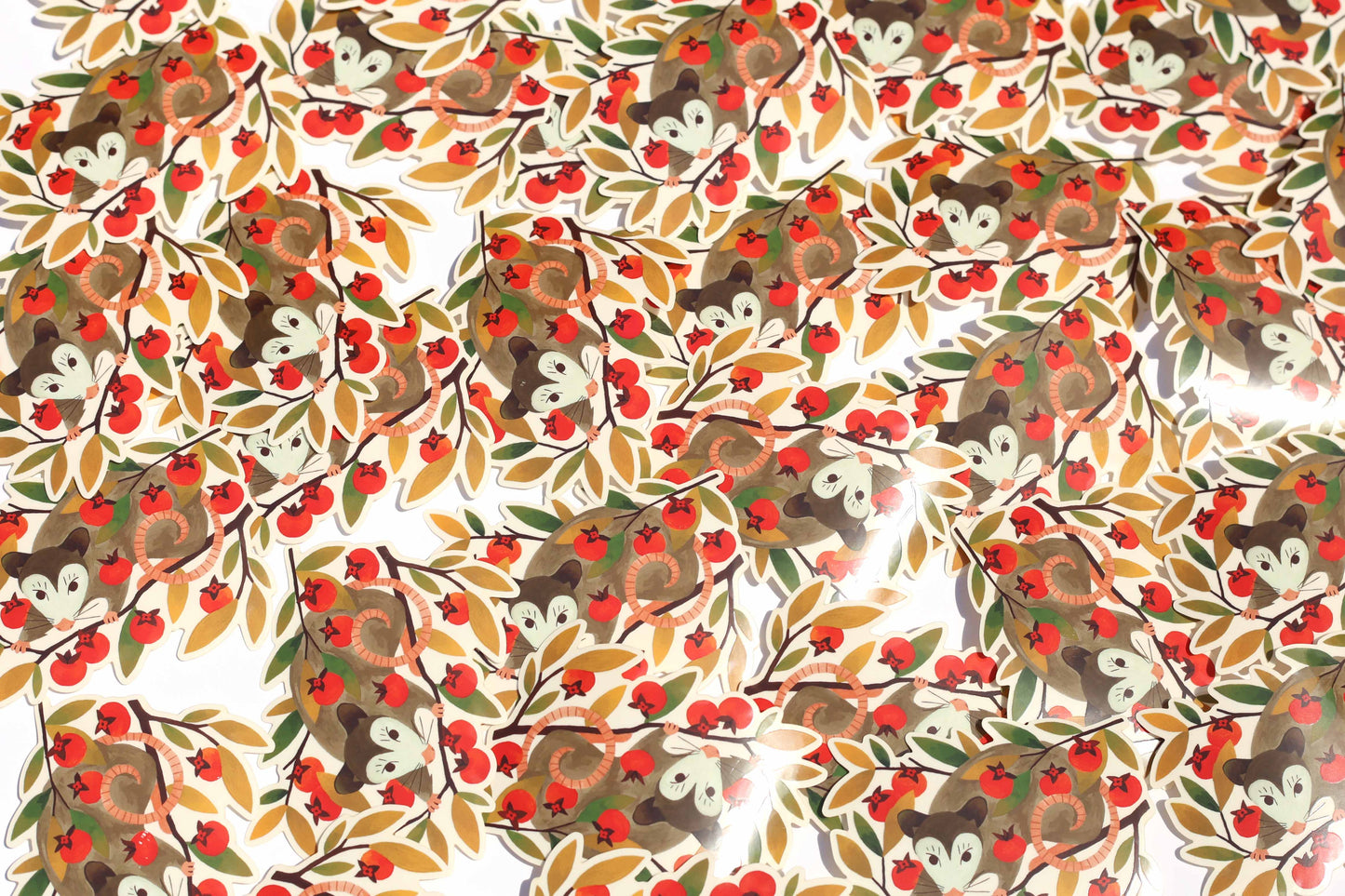 Possum Sticker (Transparent)