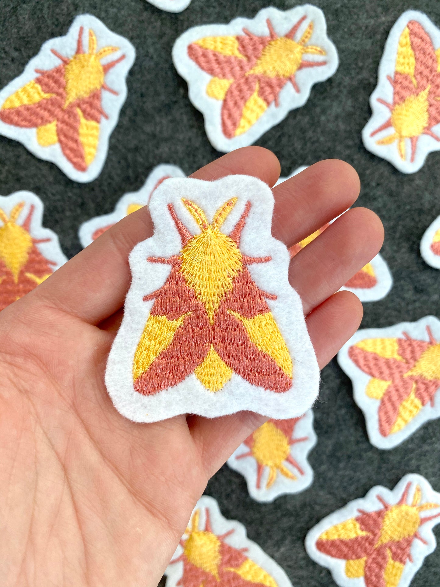 Rosy Maple Moth - Embroidered Patch