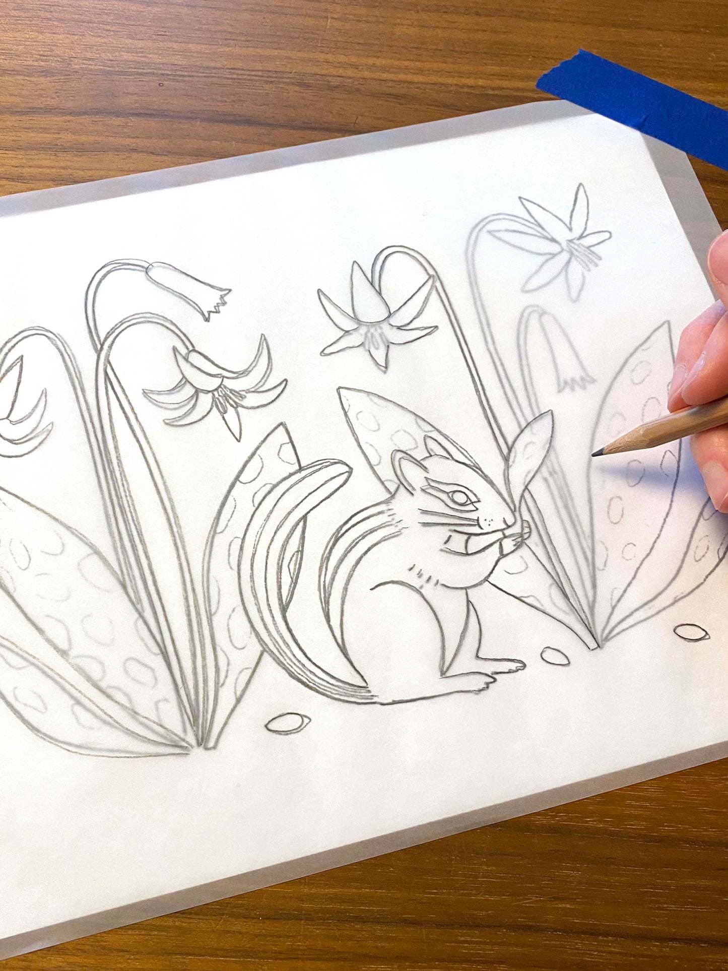 2026 Calendar - East Coast Natives