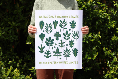 Oak & Hickory Leaves - Handmade Print