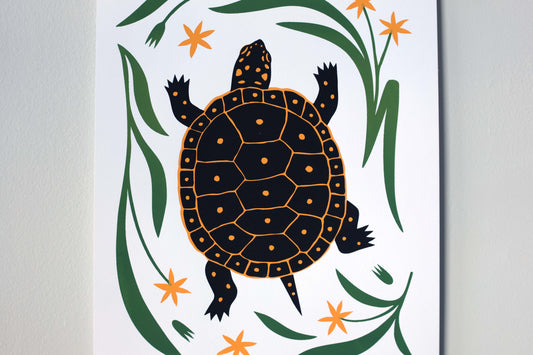 Spotted Turtle - Handmade Print