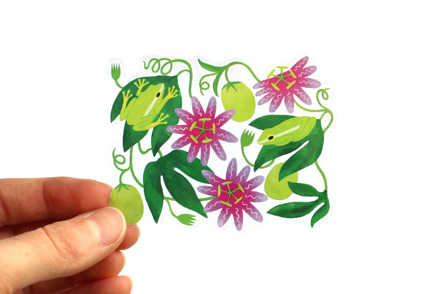Treefrog Sticker (Transparent)