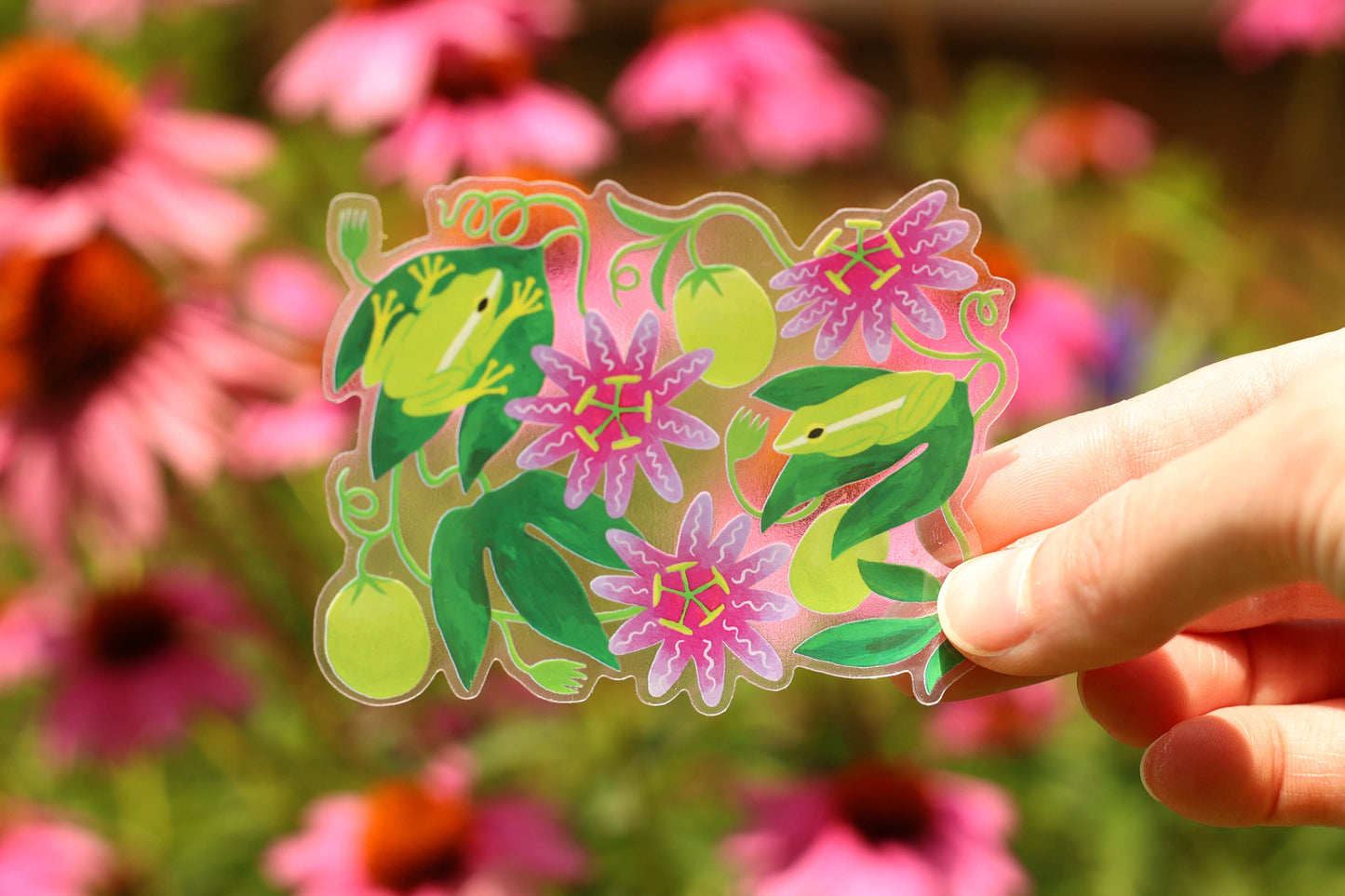 Treefrog Sticker (Transparent)