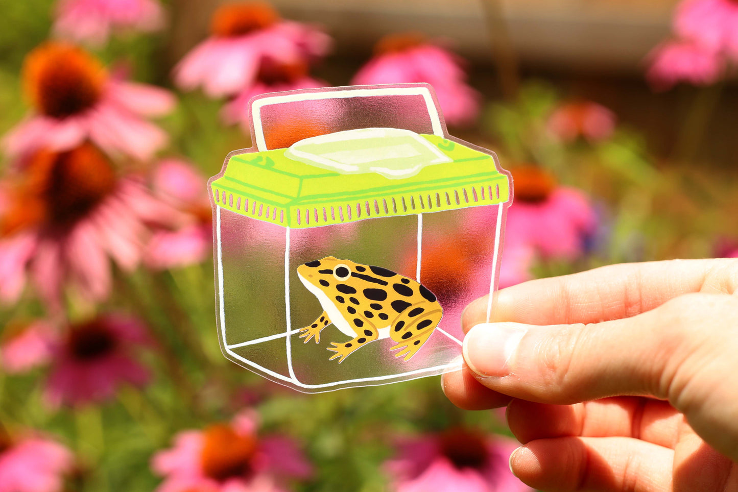 Leopard Frog Sticker (Transparent)