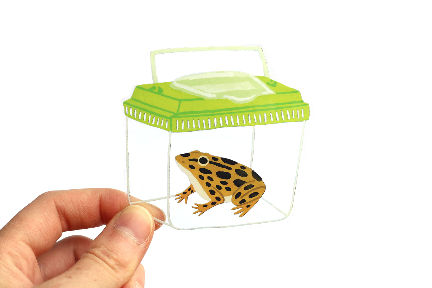 Leopard Frog Sticker (Transparent)