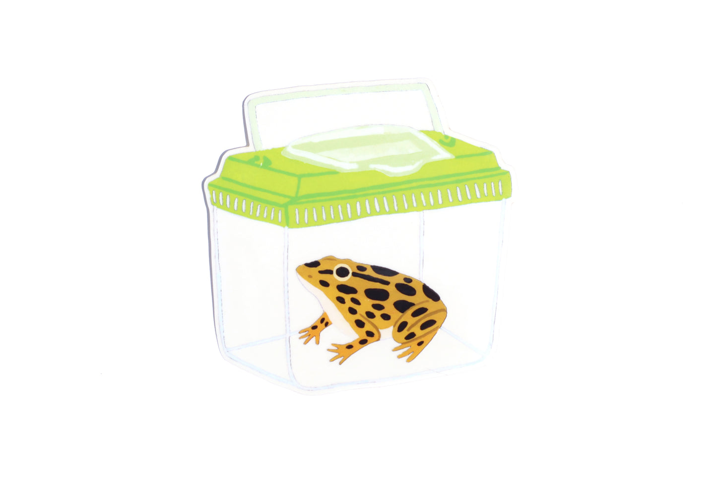 Leopard Frog Sticker (Transparent)