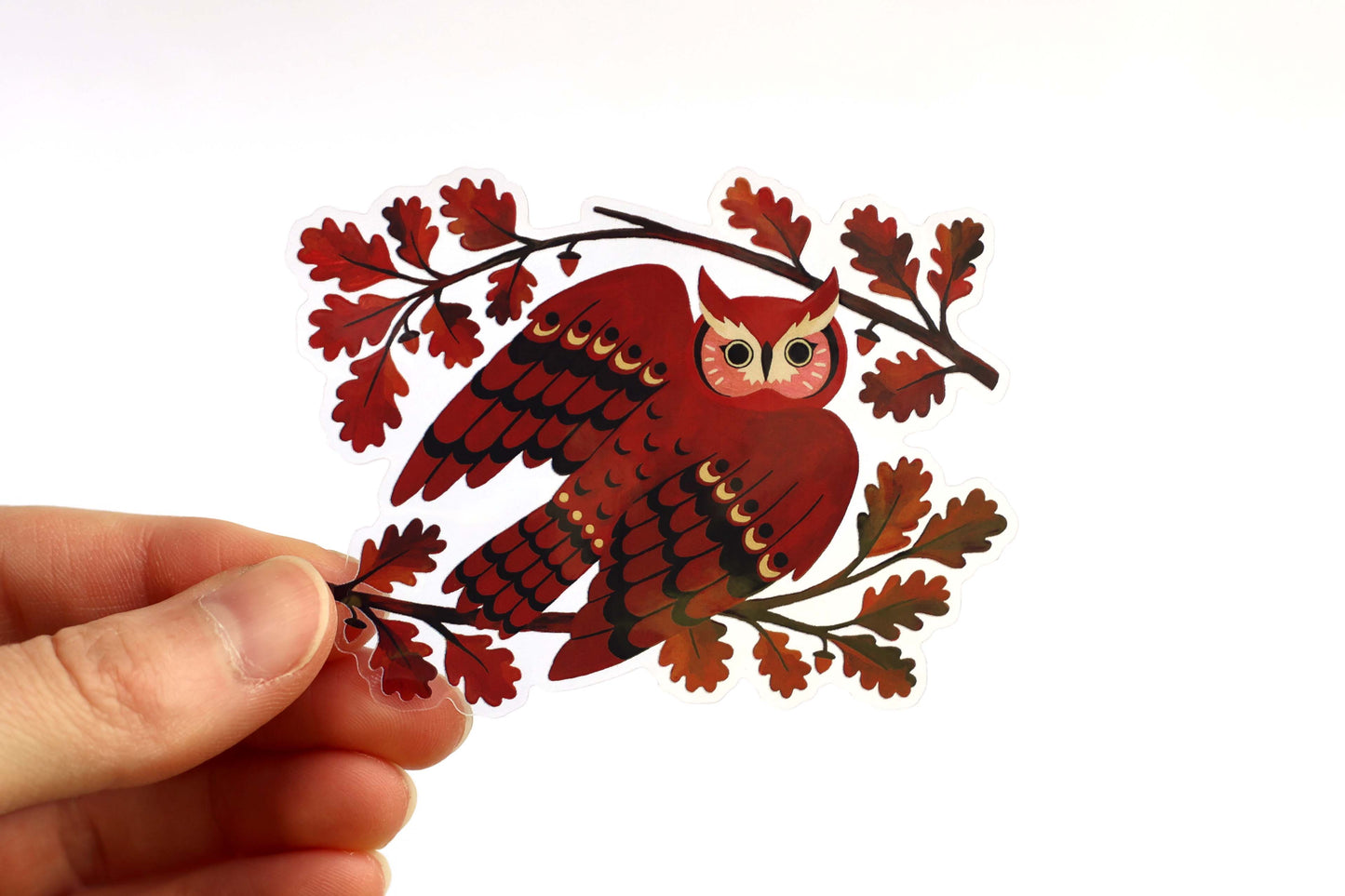 Screech Owl Sticker (Transparent)