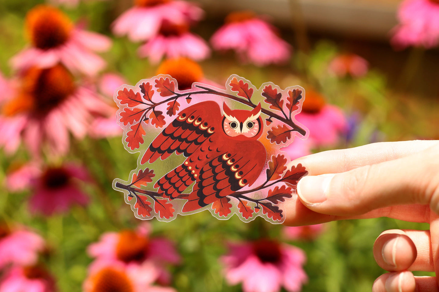Screech Owl Sticker (Transparent)