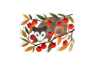 Possum Sticker (Transparent)