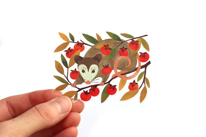 Possum Sticker (Transparent)
