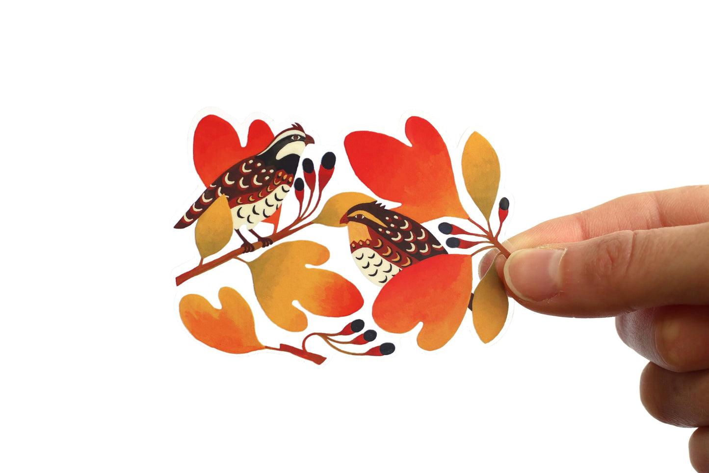 Bobwhite Quail Sticker (Transparent)