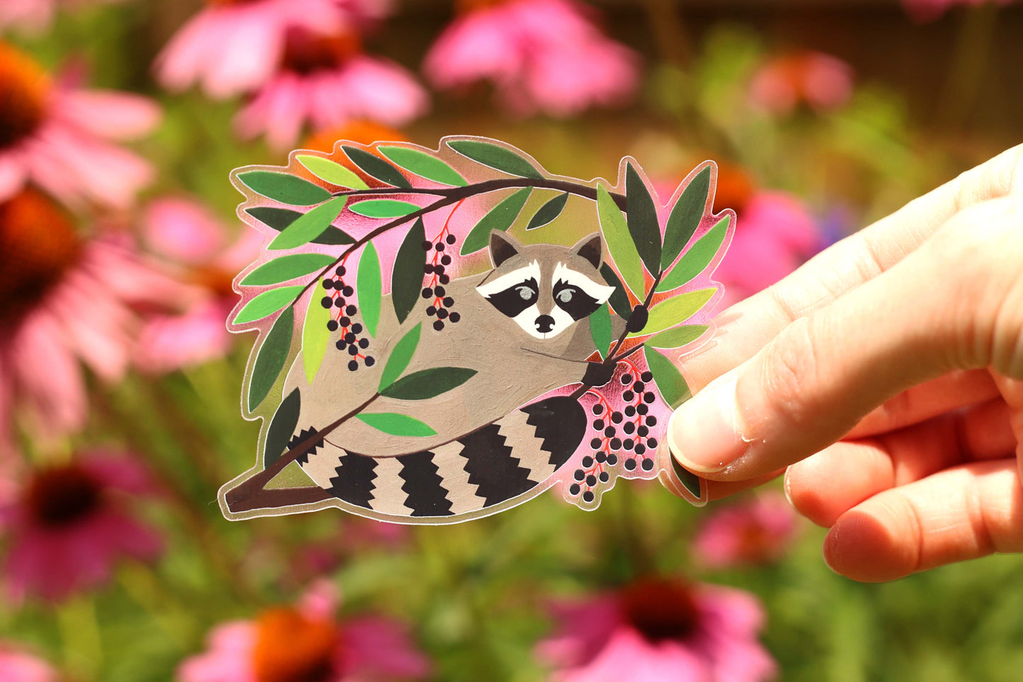 Raccoon Sticker (Transparent)