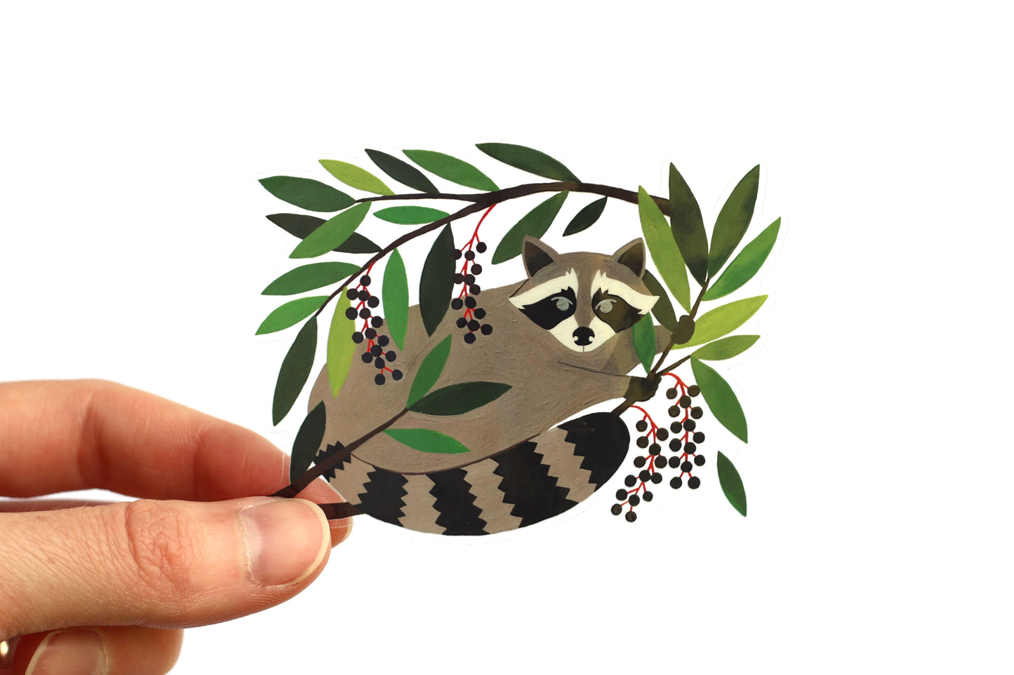 Raccoon Sticker (Transparent)