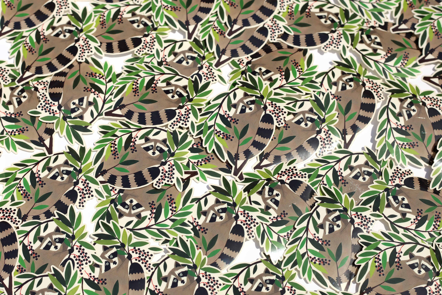 Raccoon Sticker (Transparent)