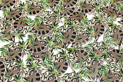Raccoon Sticker (Transparent)
